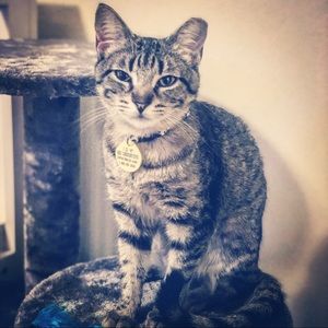 Meet your Posher, Jayne